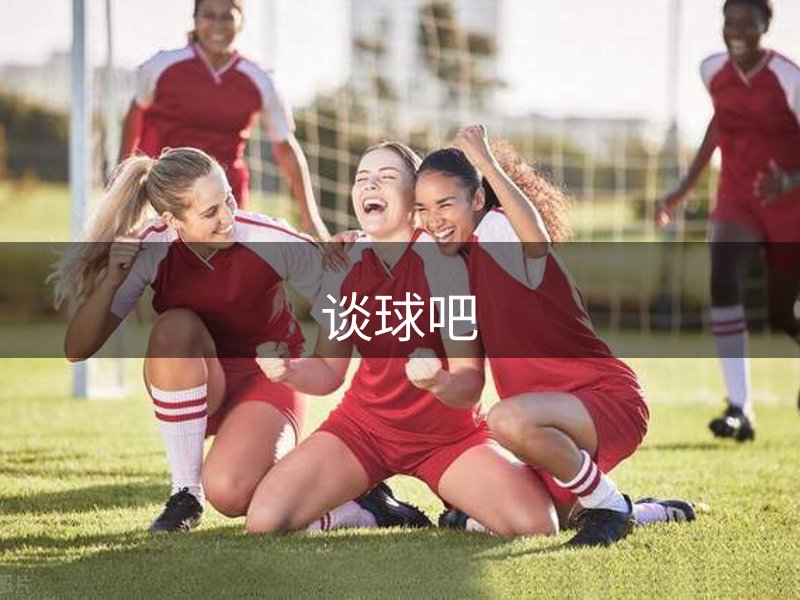 谈球吧概况